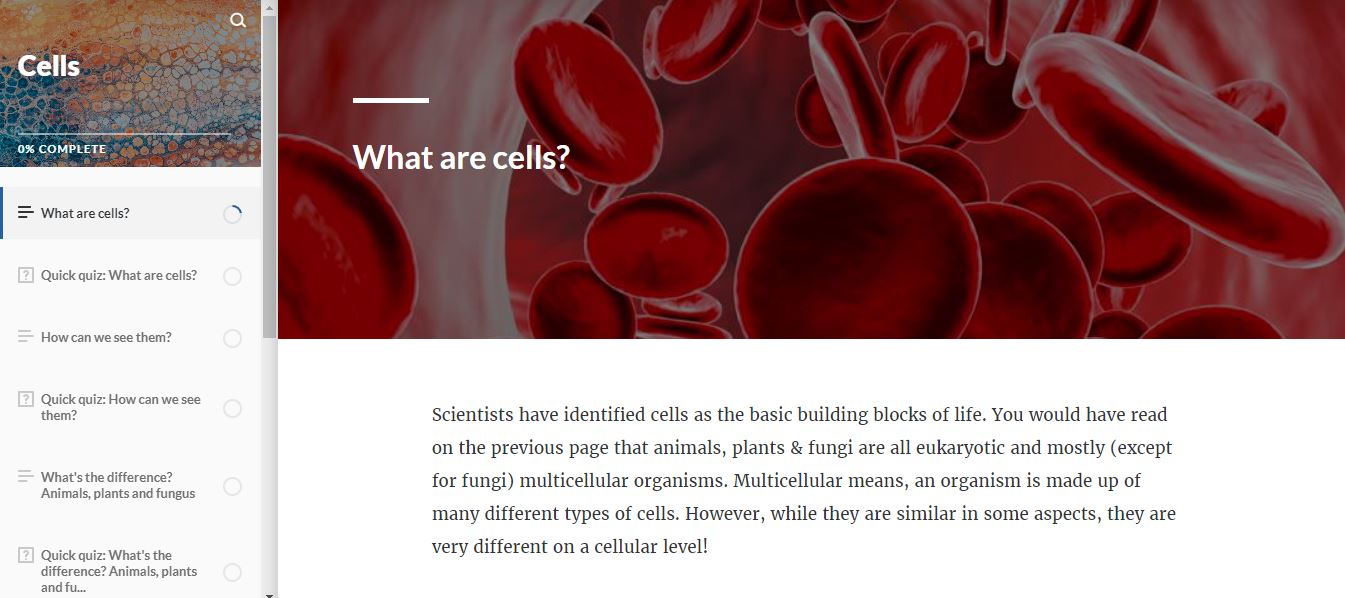 Cells Elearning Solutions