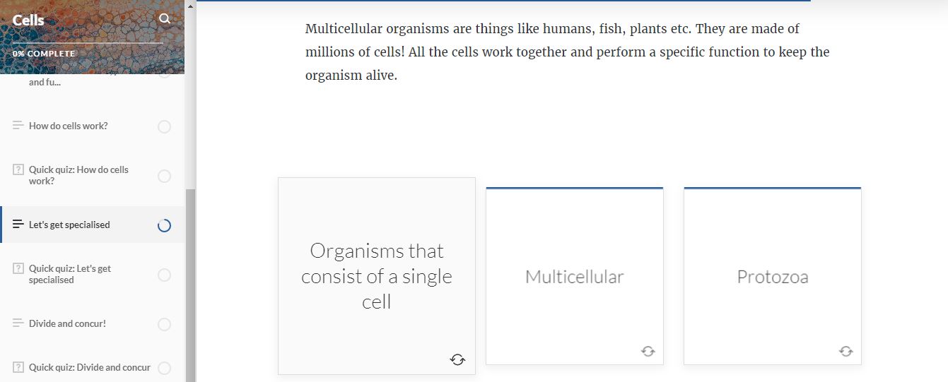 Cells – eLearning Solutions